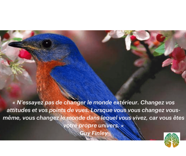 Changer De Vie