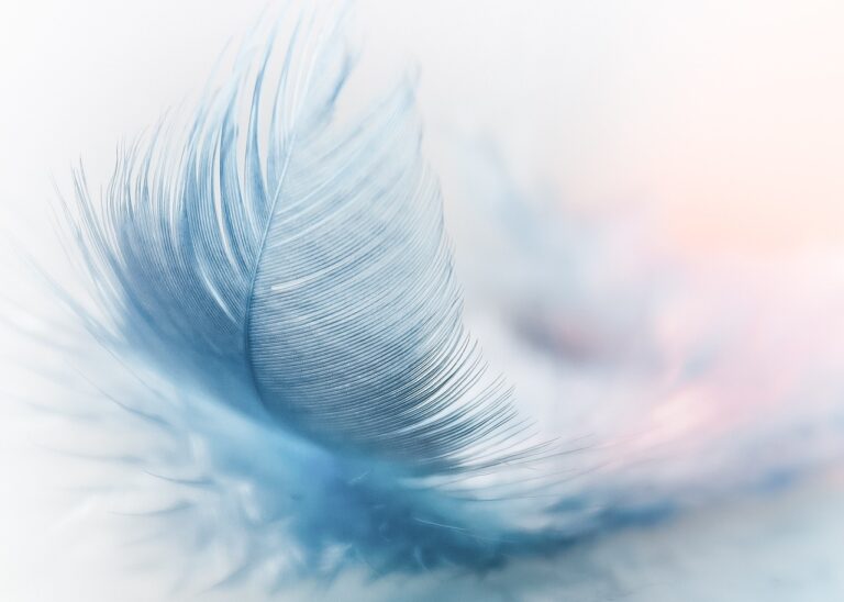 Méditation Leger Comme Une Plume
