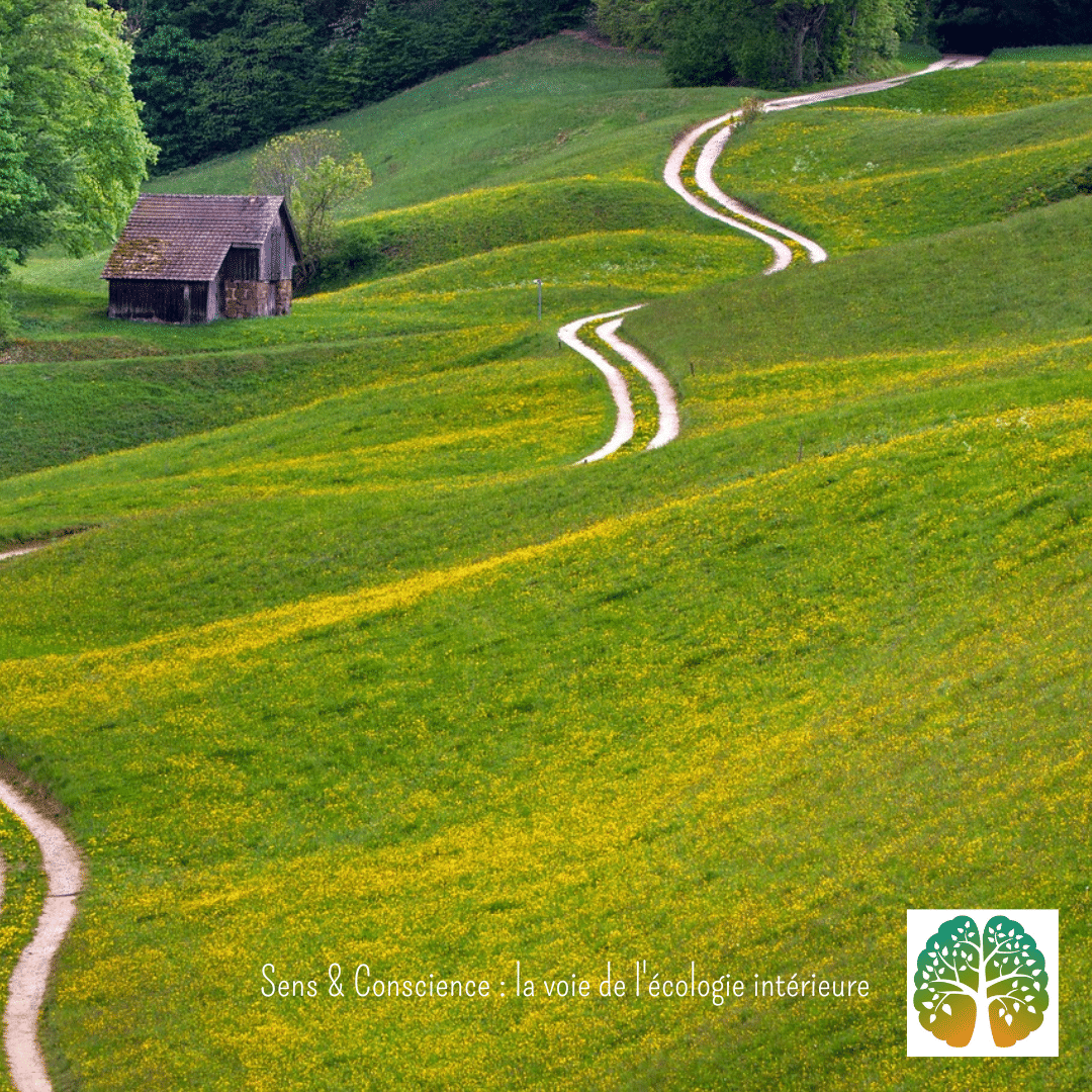 Dessine Ton Chemin De Vie