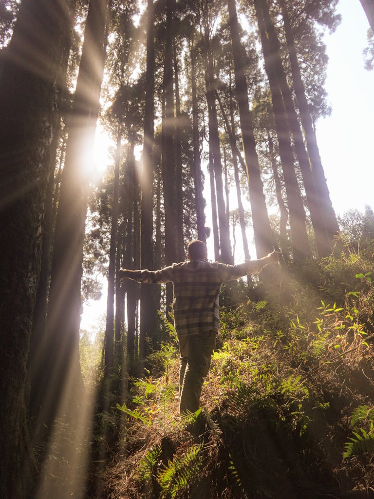 Photo par srijit mudi