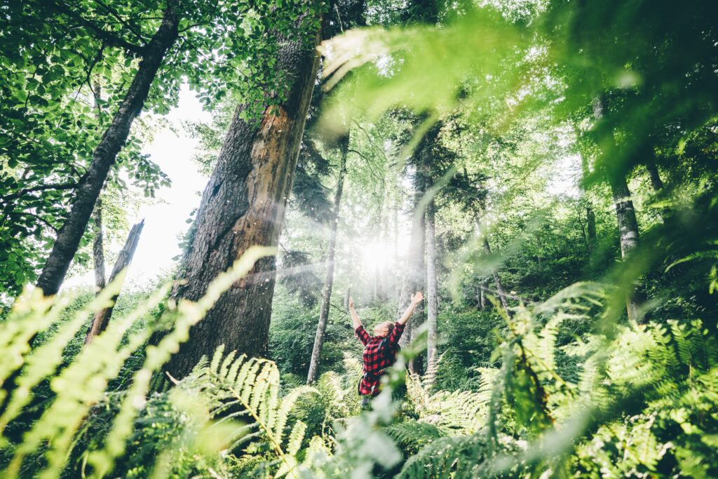 Personne méditant dans la nature lors d’une quête de vision symbolique et moderne