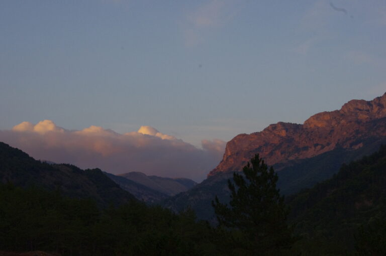 Superbe paysage nature